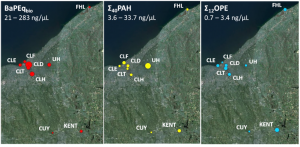 Aryl hydrocarbon receptor‐mediated activity of gas‐phase ambient air derived from passive sampling and an in vitro bioassay Passive sampling to Understand Contaminant Dynamics in the Great Lakes