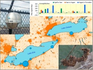 Significance of Population Centers As Sources of Gaseous and Dissolved PAHs in the Lower Great Lakes Significance of Population Centers As Sources of Gaseous and Dissolved PAHs in the Lower Great Lakes