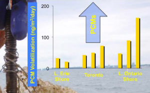 Polycyclic musks in the air and water of the lower Great Lakes: spatial distribution and volatilization from surface waters Polycyclic musks in the air and water of the lower Great Lakes: spatial distribution and volatilization from surface waters