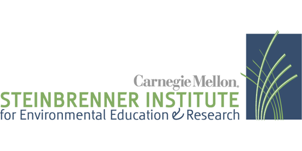 steinbrenner institute