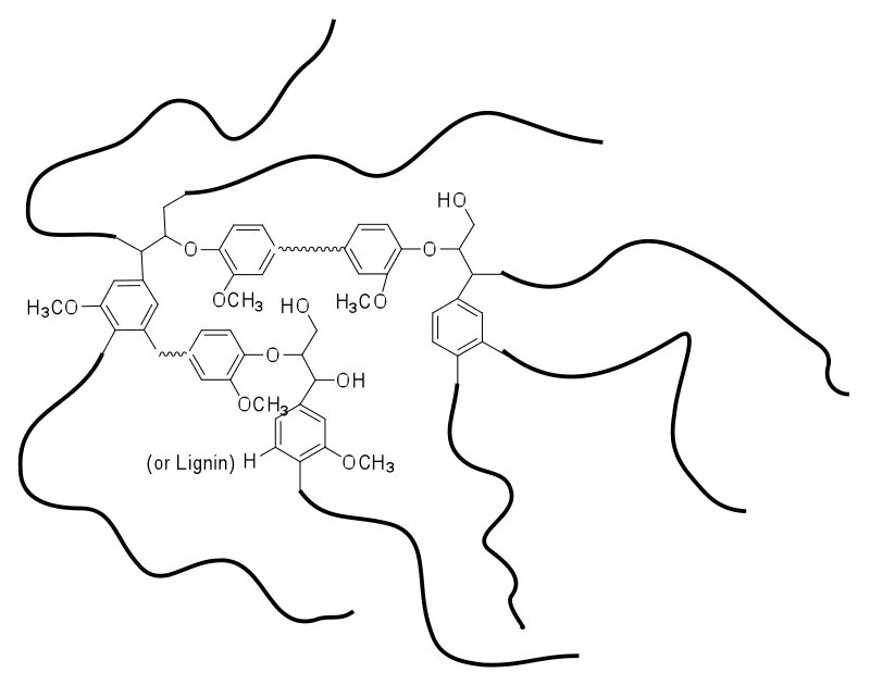 Schematic of a polymer-grafted lignin nanoparticle based on a discrete lignin core with a polymer corona